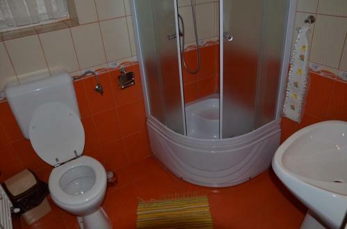 Hostal Rustic Argesean