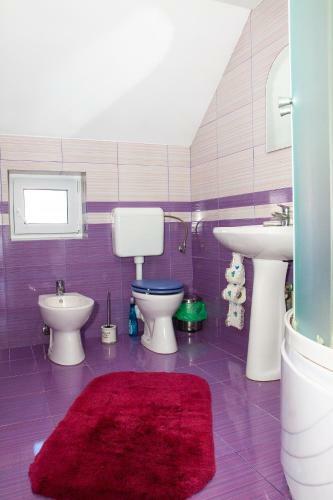 Hostal Rustic Argesean
