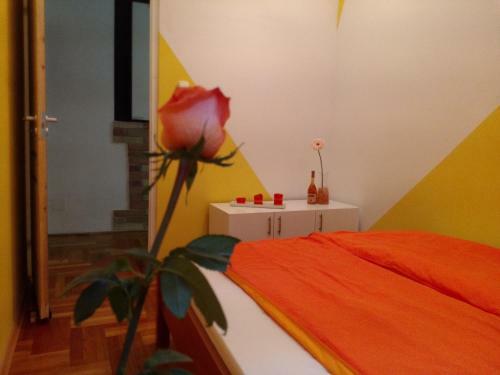 Apartment Best Vacation