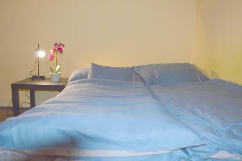 Hostal Riverside Danube Guest House