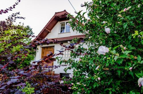 Bed & Breakfast Parkland Inn