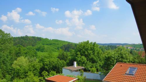 Bed & Breakfast H?forr�s Panzi�