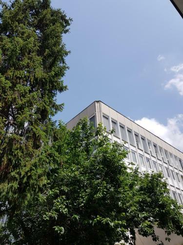 Elit Apartmanok
