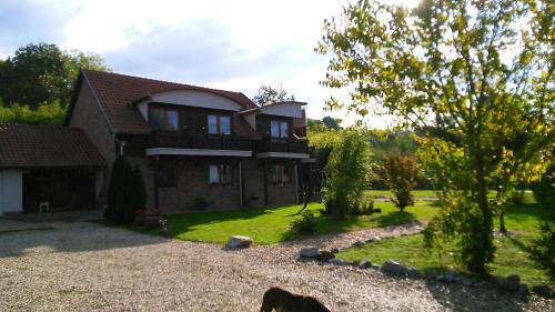 Hostal Owlcastle-bagolyv�r
