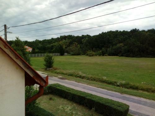 Di�na Vend�gh�z