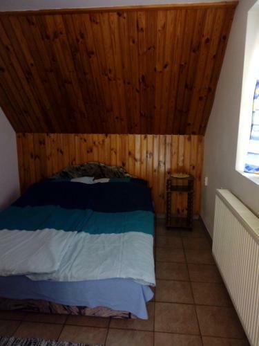 Di�na Vend�gh�z