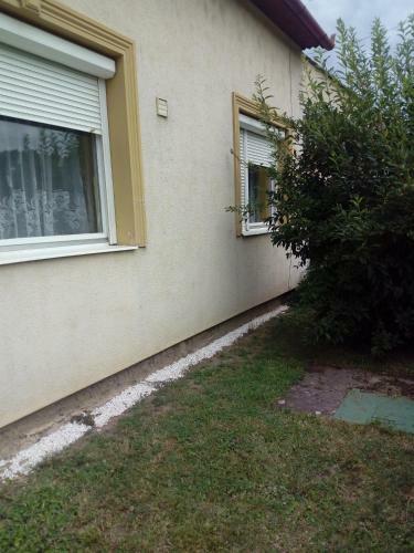 Di�na Vend�gh�z