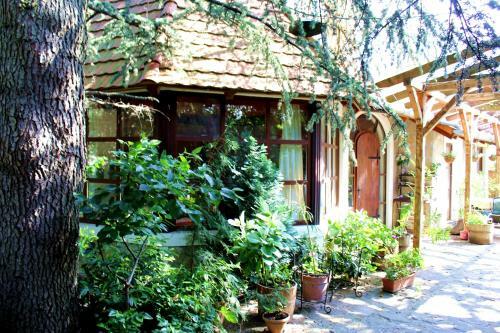 Arlekin Apartman