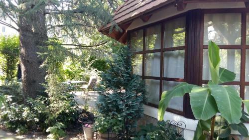 Arlekin Apartman