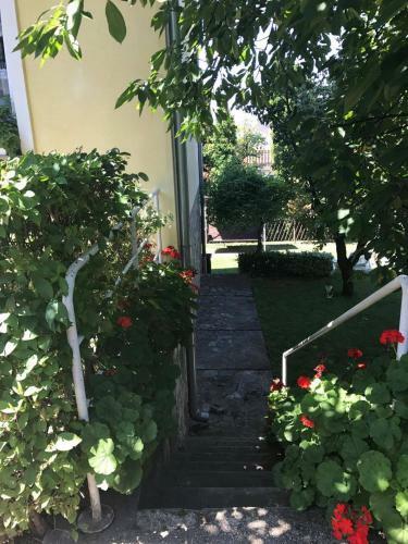 Veronika Apartman