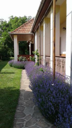 Hostal Nosztalgia Vend�gh�z