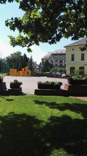 Csipke Apartman