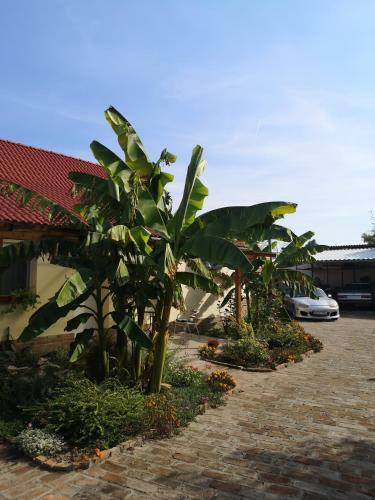 R�day Apartman