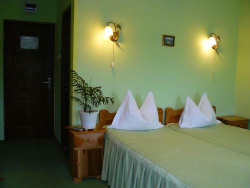Hostal Cabana Delfinul