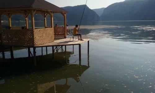 Hostal Pensiunea Lucian