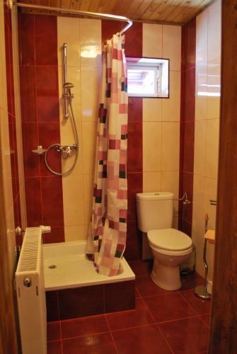 Hostal Pensiunea Alexandra