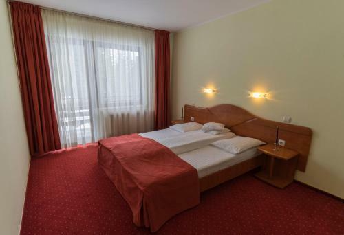 Hostal Pension Vanatorul