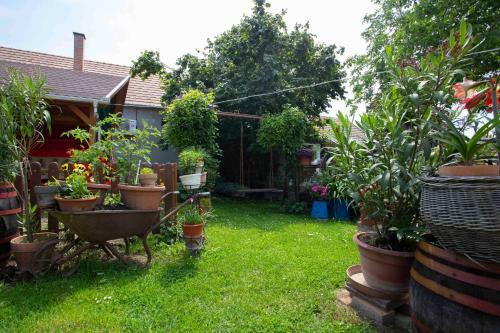 Hostal Szab� Vend�gh�z