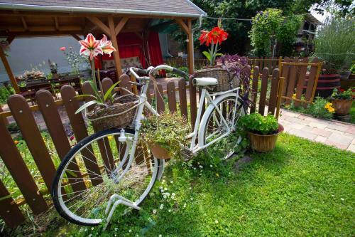 Hostal Szab� Vend�gh�z