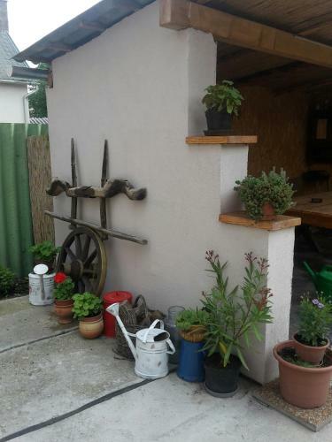 Kaland Vend�gh�z