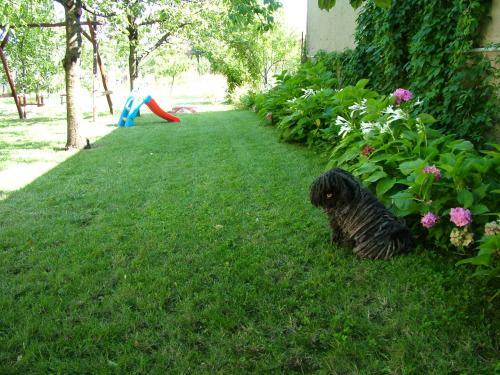 Apartamento Csereszny�skert Vend�gh�z