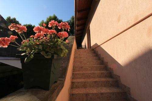 Hostal Ariel Apartmanok