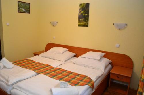 Ez�stfeny? Hotel