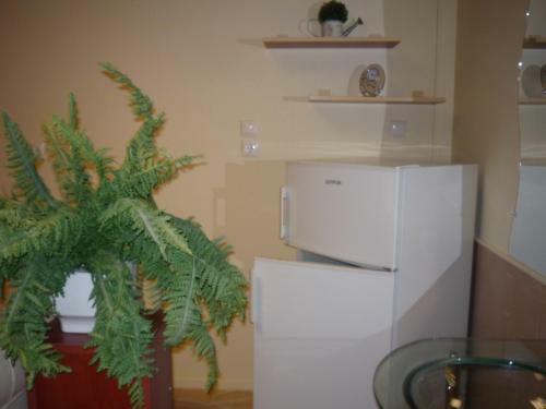 Bed & Breakfast �jjelibagoly Panzi�