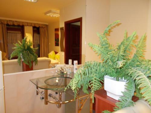 Bed & Breakfast �jjelibagoly Panzi�