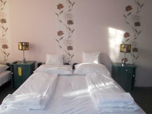 Bed & Breakfast �jjelibagoly Panzi�