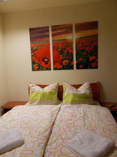 Bed & Breakfast �jjelibagoly Panzi�