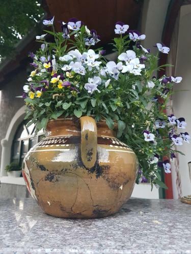 Hostal Fruzsi Vend�gh�z