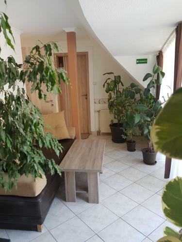 Hostal The Corner House Panzi�