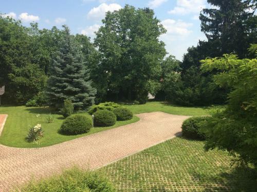 Anonim Vend�gh�z