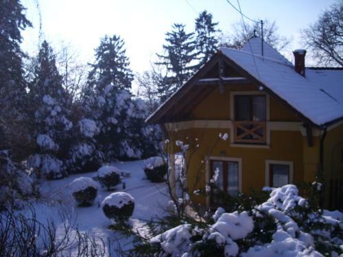 Anonim Vend�gh�z