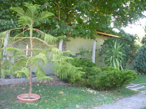 Hostal Mediterr�n Vend�gh�z