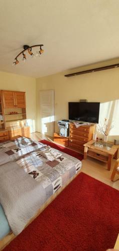 Hegyalja Apartman