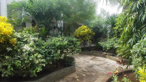 Hotel Patma Bira