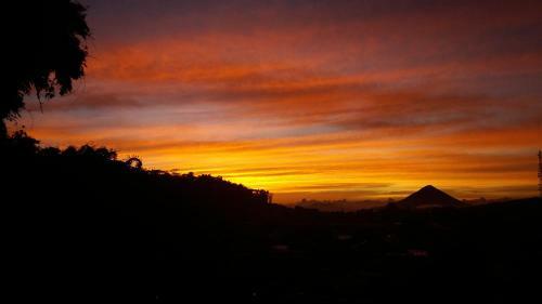 Bajawa-roo Hotel