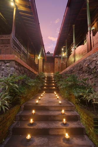 Hotel Java Amazon Villa&resort