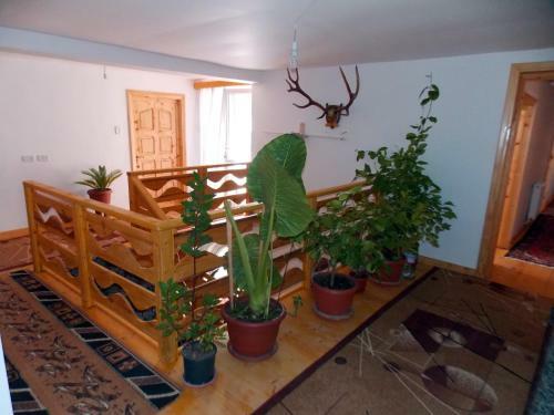 Hostal Pensiunea Paradiso