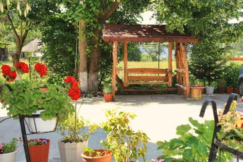 Hostal Pensiunea Paradiso