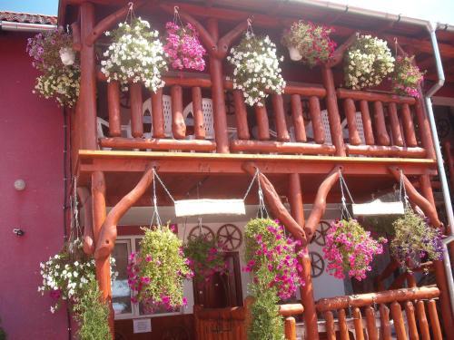 Hostal Pensiunea Robika Sovata