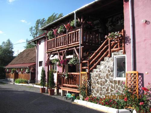 Hostal Pensiunea Robika Sovata