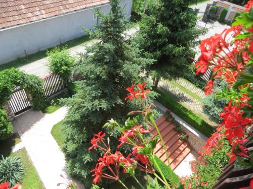 Bed & Breakfast Csaki Vendeghaz