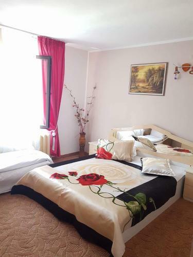 Hostal Pensiunea Bradu