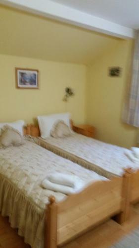 Hostal Pensiunea Bradu