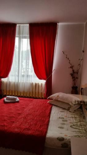 Hostal Pensiunea Bradu