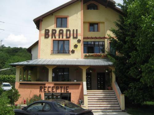 Hostal Pensiunea Bradu