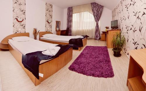 Hostal Pensiunea Moldova